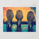 Search for abstract animal postcards Jungle