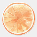 Search for tropical orange stickers Slice