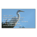 Search for egrets photography White
