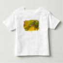 Search for frog toddler tshirts Pacific tree frog