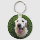 Search for golden retriever key rings Pets