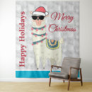 Search for cool dude posters Funny