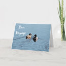 Search for blue pond cards Water
