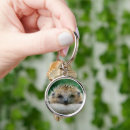 Search for mammal round key rings Nature