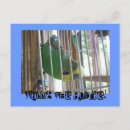 Search for budgie postcards Bird