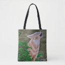 Search for coyote bags Nature