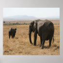 Search for african mother child posters Elephant