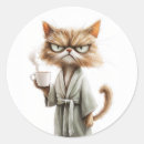 Search for grumpy morning stickers Cat