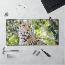 Search for face electronics Photograph