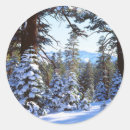 Search for fir tree stickers Branch