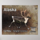 Search for reindeer posters Arctic