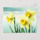Search for st davids day postcards Welsh