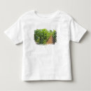 Search for wine country tshirts Winery