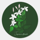 Search for jasmin stickers Botanical