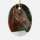 Search for chestnut horse christmas tree decorations Thoroughbred