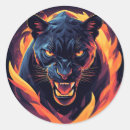 Search for aggressive stickers Wildlife
