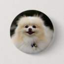 Search for panting badges Loulou