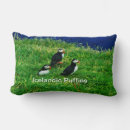 Search for puffin cushions Nature