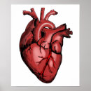 Search for anatomical heart art Medical