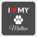 Search for maltese dog stickers Pets
