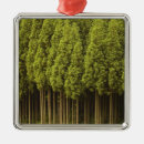 Search for natural christmas tree decorations Outdoors