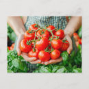 Search for vines postcards Food
