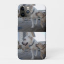 Search for labrador puppy iphone cases Pet