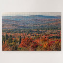 Search for new forest puzzles Fall