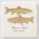 Search for fly fishing coasters Rainbow