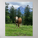 Search for cute fun posters Animal