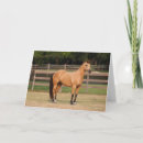 Search for buckskin cards Breed