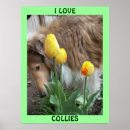 Search for dog agility art Herding