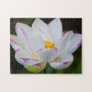 Search for savannah georgia puzzles North america
