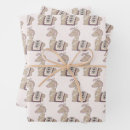 Search for alpaca wrapping paper Fun