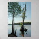 Search for rope posters Trees