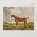 Search for 1840 postcards Horse