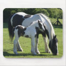 Search for foal mousepads Country