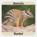 Search for mammal stickers Nature
