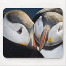 Search for puffin electronics Beak