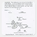 Search for archipelago stickers Island