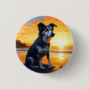Search for sea dog badges Ocean