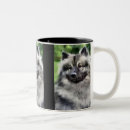 Search for keeshonds mugs Cute