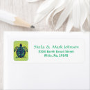 Search for green turtle return address labels Sea life