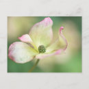 Search for flowerbeds postcards Garden