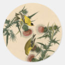 Search for audubon birds stickers John james audubon