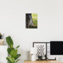 Search for squirrel photo posters Cute