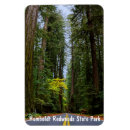 Search for giant rectangular magnets California