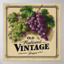 Search for wine grapes posters Vintage