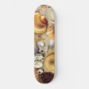 Search for shell skateboards Sea shells
