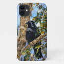 Search for black crows cases Nature